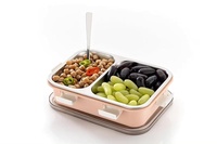 2 compartment lunch box